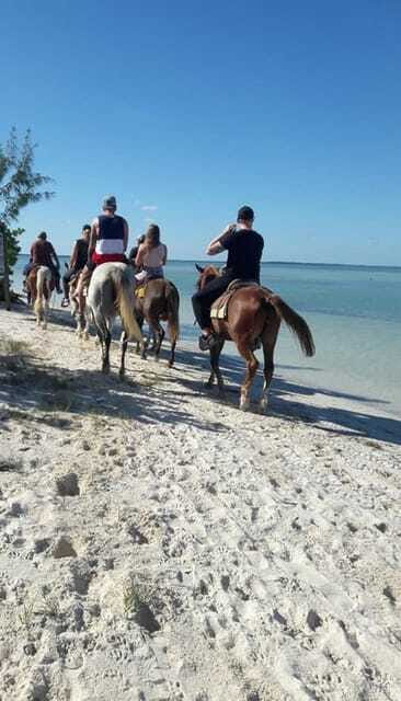 Group horseback ride on Holbox Island, Quintana Roo - What the 80 minutes feels like, step by step