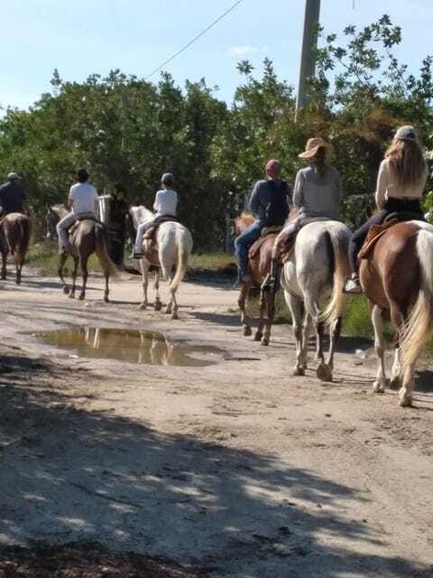 Group horseback ride on Holbox Island, Quintana Roo - Price and value: why $71 can make sense (if this is your kind of day)