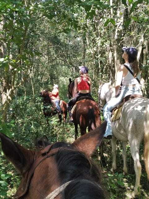Group horseback ride on Holbox Island, Quintana Roo - Who this tour fits best, and who should think twice