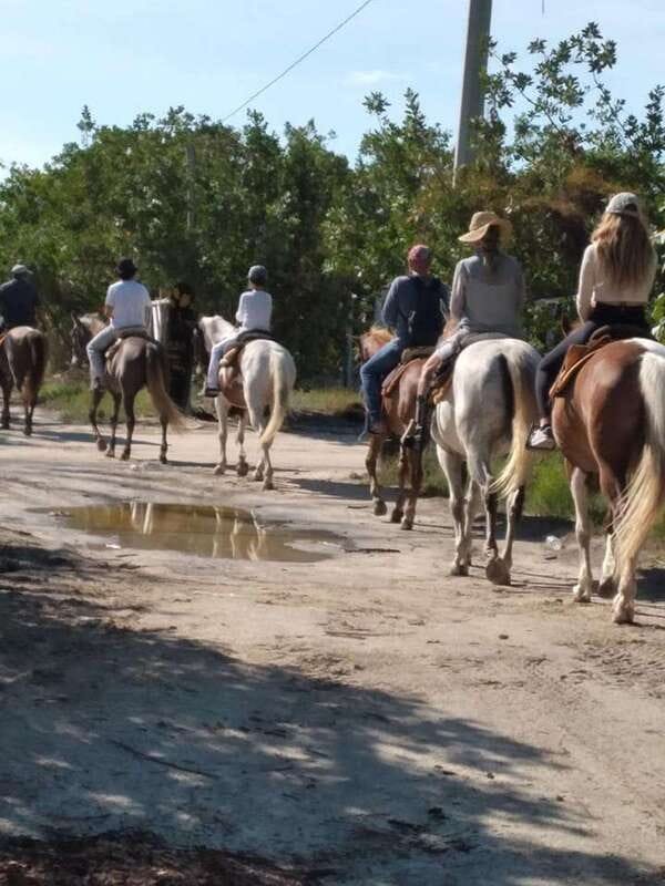 Group horseback ride on Holbox Island, Quintana Roo - Your own horse, steady pace, and what that means for comfort