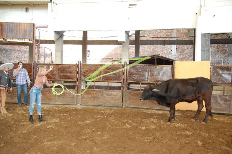Guadalajara: Mexican Charro and Charreada Cultural Tour - Should you book this charro and charreada day?