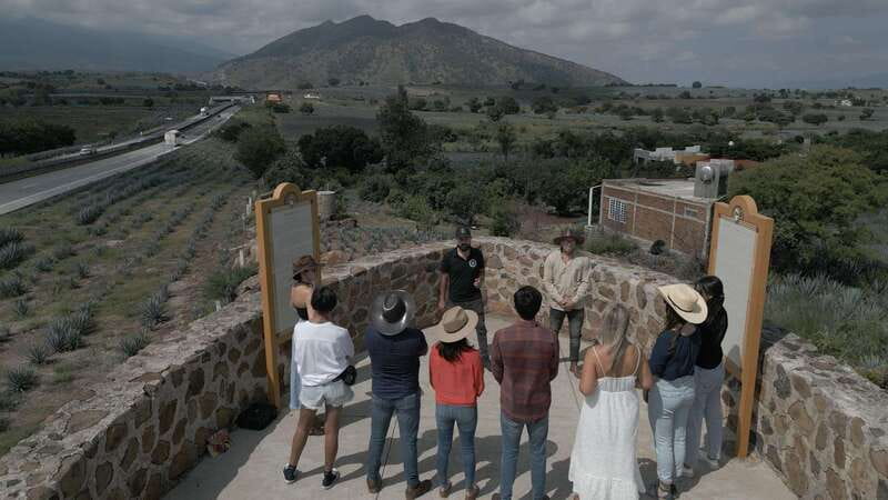 Guadalajara: Premium Tequila Tour with Tastings and Pairings - Key points before you go