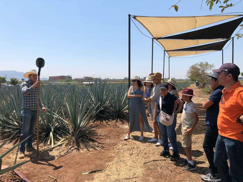 Guadalajara: Premium Tequila Tour with Tastings and Pairings - Ajijic boardwalk break: colorful streets and a different pace