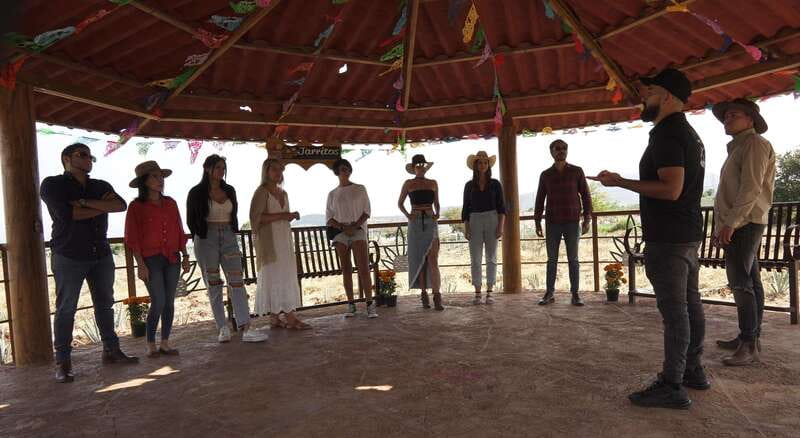 Guadalajara: Premium Tequila Tour with Tastings and Pairings - Getting there smoothly: the 9:45 am Fiesta Americana pick-up