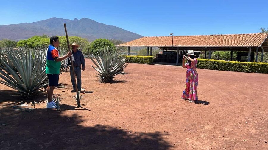Guadalajara: Tequila Day Trip with Jose Cuervo Option - Key highlights I’d plan around