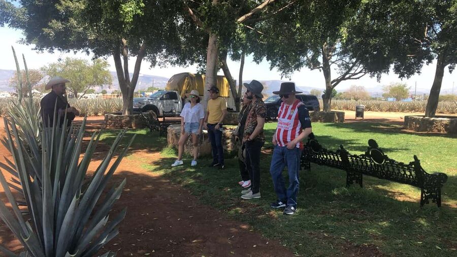 Guadalajara: Tequila Day Trip with Jose Cuervo Option - Tasting smarter: how to get more out of every pour