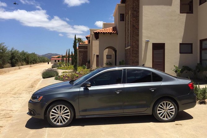 Guadalupe Valley Private Driver Tour - Why this Guadalupe Valley private driver setup feels easier than DIY