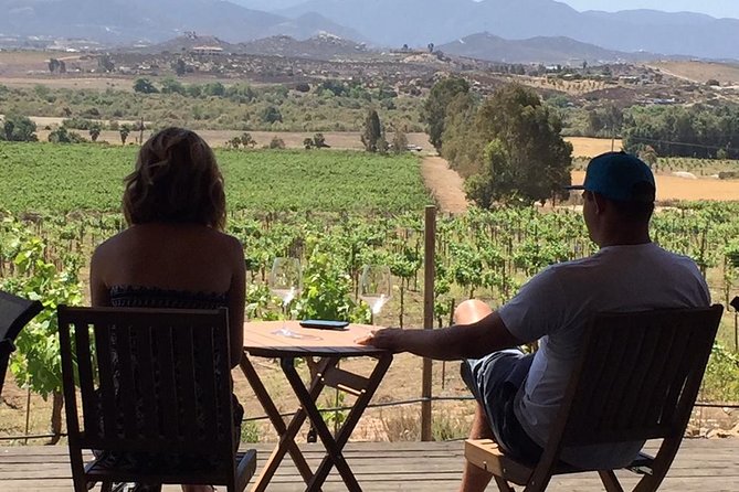 Guadalupe Valley Wine Route Tour in Baja California - Wine Museum of Baja California: Why Context Matters on a Tasting Day