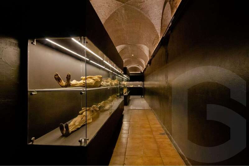Guanajuato: Mummies, Mines and Tunnels Guided Group Tour - Museum of the Mummies Viajeras: The Stop Everyone Talks About