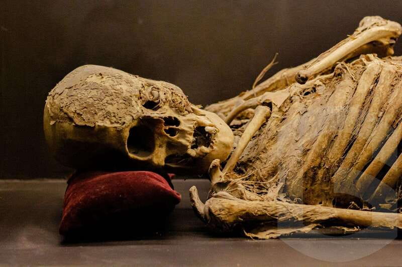 Guanajuato: Mummies, Mines and Tunnels Guided Group Tour - Price, Add-On Tickets, and What You Actually Get for the Money