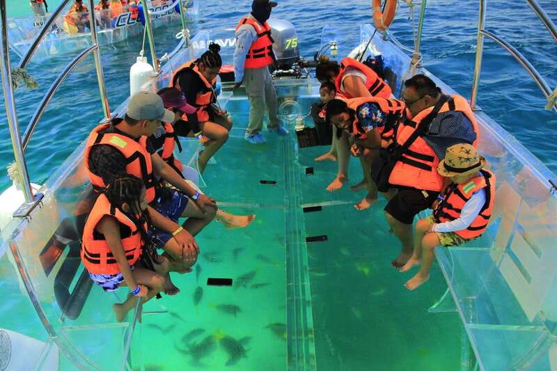 Guided Cabo Tour: Boat | Tacos & Tequila | Photos & Transfer - Price and Value: What $105 Buys You in Real Terms
