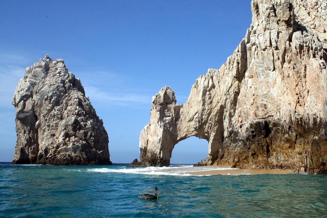 Guided Tour Los Cabos: Boat | Tacos & Tequila | Photos & Transfer - Half-day value in Los Cabos, done the low-stress way