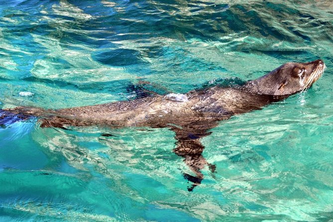 Guided Tour Los Cabos: Boat | Tacos & Tequila | Photos & Transfer - The clear boat to the Arch, and what to expect on the water