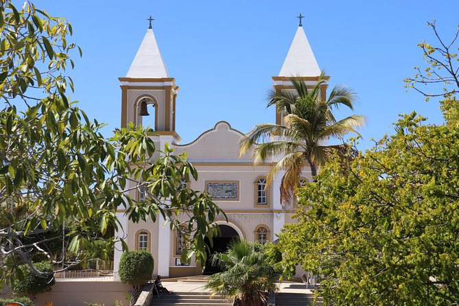 Guided Tour Los Cabos: Boat | Tacos & Tequila | Photos & Transfer - San José del Cabo downtown and Art District: where the town energy shows