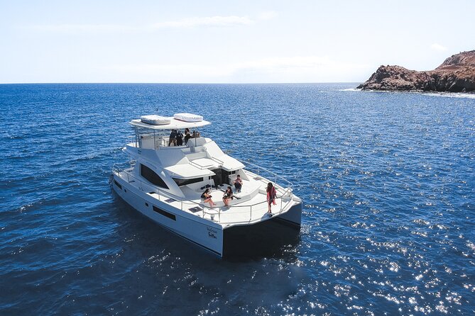 Half Day Cabo Snorkel Adventure with Lunch and Open Bar - Two snorkel stops, Arch photos, and sea lions in one half-day
