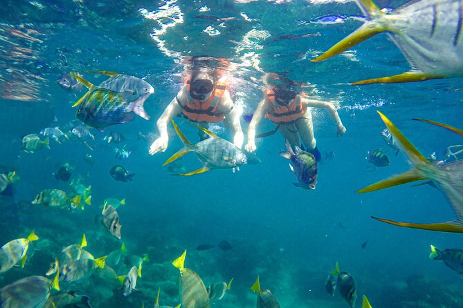 Half Day Cabo Snorkel Adventure with Lunch and Open Bar - Stop 2: More marine life, plus a chance to relax on deck