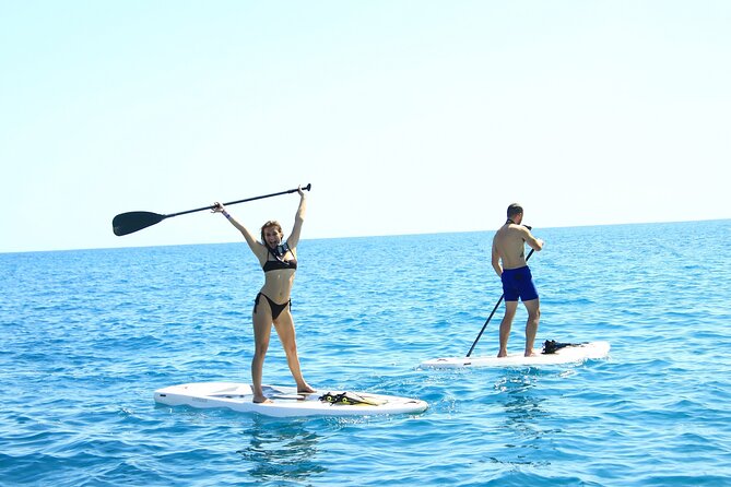 Half Day Cabo Snorkel Adventure with Lunch and Open Bar - Value check: is $149 fair once you add real costs?