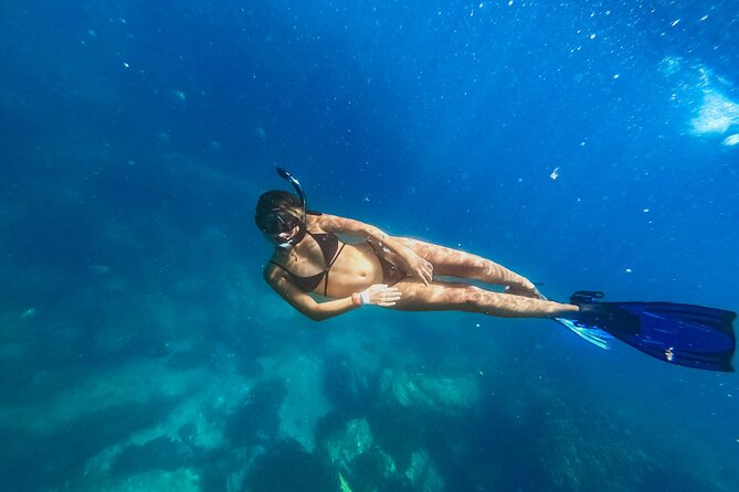 Half Day Cabo Snorkel Adventure with Lunch and Open Bar - Snorkeling gear, sea scooters, and what the water might look like