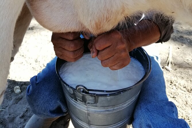 Half Day Excursion - Horseback Riding Adventure in SMA - The Riding Class: How They Set You Up for 3 Hours on Horseback
