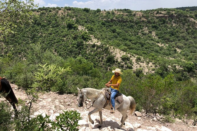 Half Day Excursion - Horseback Riding Adventure in SMA - Lunch at the Ranch: Traditional Meal, Ranch-Made Cheese, and a Real End to the Adventure