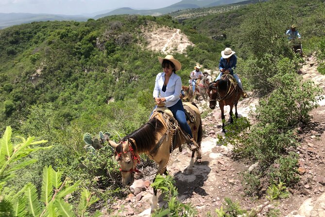 Half Day Excursion - Horseback Riding Adventure in SMA - Before the Saddle: Milking Cows and Learning Traditional Cheese