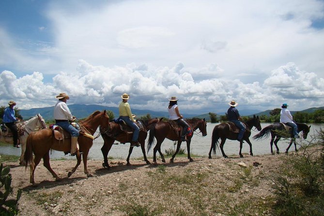 Half-Day Horseback Riding Adventure - Over plains and among cattle, then down the rocky descent to La Virgen