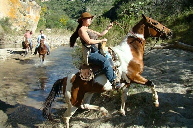 Half-Day Horseback Riding Adventure - Price and value at $160: what’s included, what’s extra, and why it feels fair