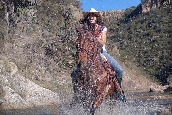 Half-Day Horseback Riding Adventure - Meeting at Zacateros 54, then out to the ranch