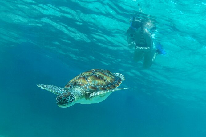 Half-Day Luxury Sailing Experience in Tulum with Open Bar - Who this sailing tour fits best, and who should be cautious
