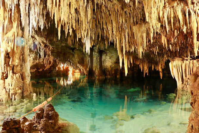 Half-Day Sea Turtle and Cenote Snorkeling Tour from Cancun & Riviera Maya - Price and the real cost of the day: what you’re paying for