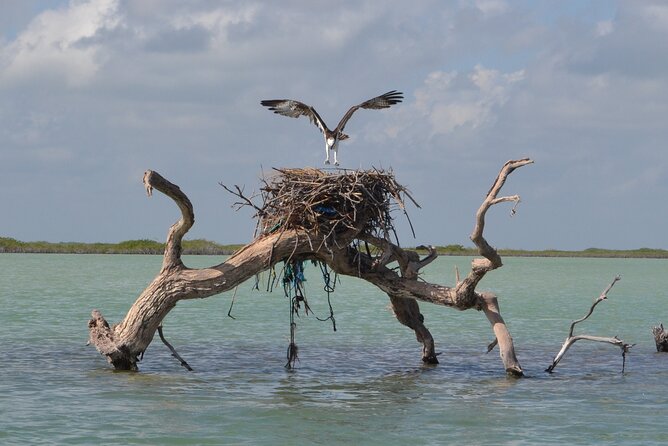 Half-Day Tour Discovering Sian Ka´an with Lunch - Why Sian Ka’an Boat Time Beats a Standard Tulum Day