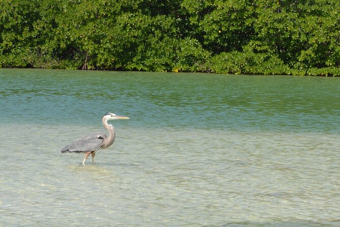 Half-Day Tour Discovering Sian Ka´an with Lunch - Price and Logistics: Is $204 Worth It?