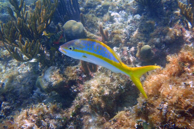 Half-Day Tour Discovering Sian Ka´an with Lunch - Who Should Book This Sian Ka’an Half-Day Tour