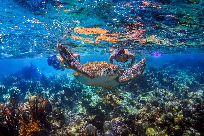 Hidden Cenote Swim: Snorkeling, Sea Turtles and Beachside Lunch - Key Things That Make This Tour Worth Your Time