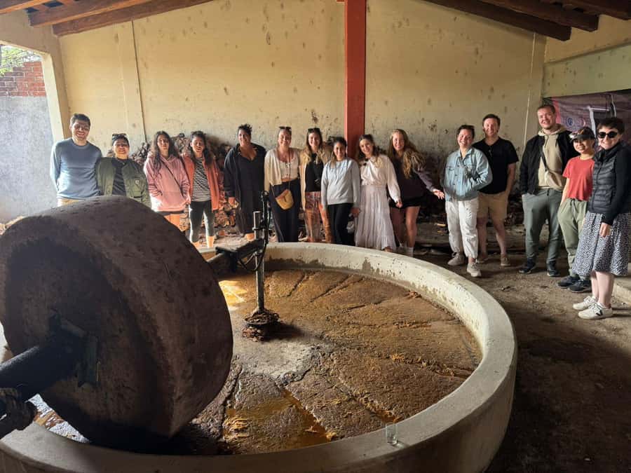 Hierve el Agua, Mitla, El Tule Tree, Rugs, Mezcal Distillery Tour - Mezcal distillery tasting: learn what you taste, then take your time