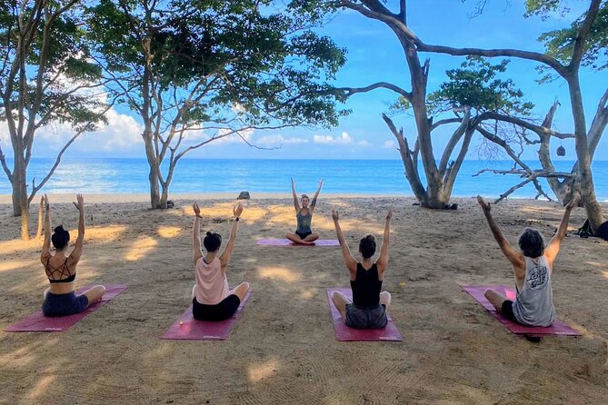 Hike and Yoga Jungle Experience in Mexico - Key Highlights You Will Notice Fast