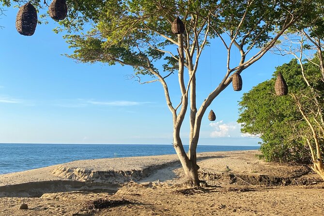 Hike and Yoga Jungle Experience in Mexico - Landing at a Quiet Beach: Shade, Waves, and Time to Reset