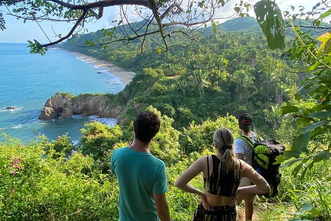 Hike and Yoga Jungle Experience in Mexico - Price and Value: Why This $30 Morning Makes Sense