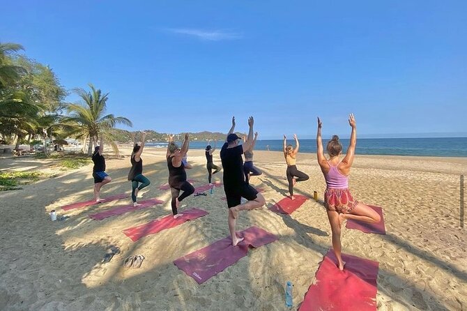 Hike and Yoga Jungle Experience in Mexico - The 1.5 Mile Jungle Trail: Views, Footing, and a Real Sense of Place