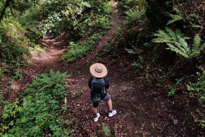 Hiking in the Sierra Norte of Oaxaca - Key highlights worth planning for