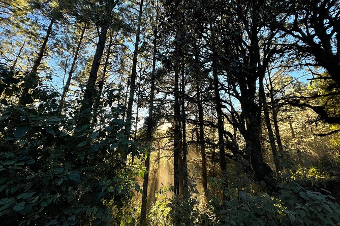Hiking in the Sierra Norte of Oaxaca - Benito Juárez Trailhead: Where Your Route Really Begins