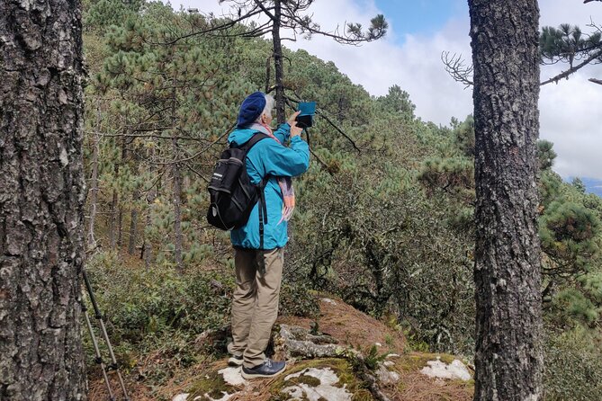 Hiking in the Sierra Norte of Oaxaca - Walking Through Pine-Oak Forest at 2,800 to 3,100 Meters