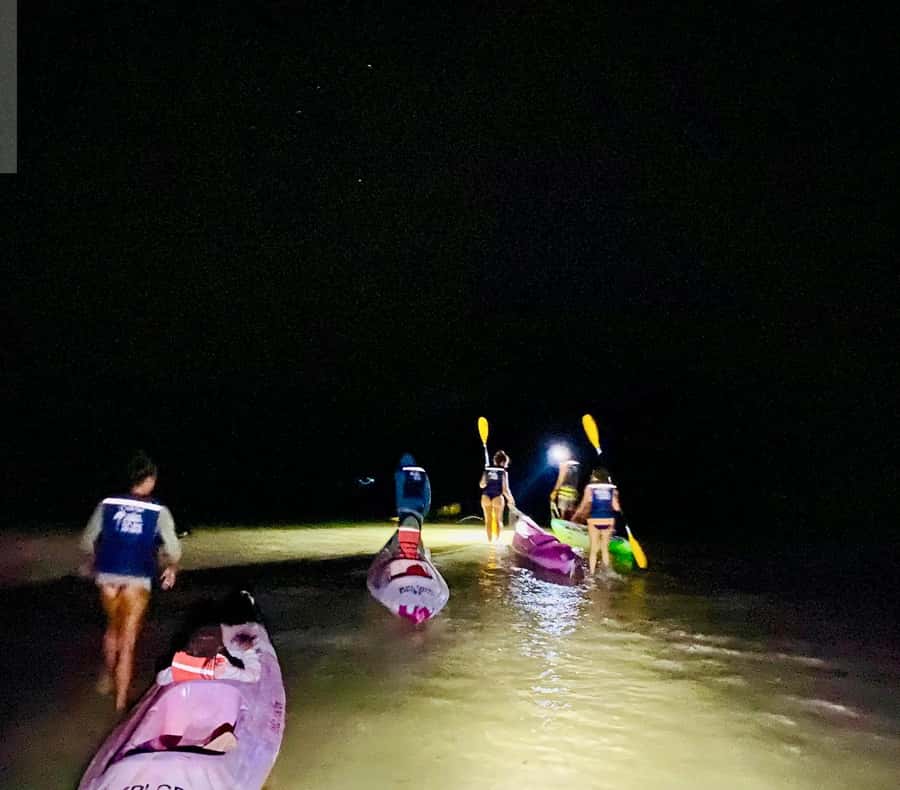 Holbox: Bioluminescence by Kayak and Stargazing. - Key things that make this Holbox night kayak special