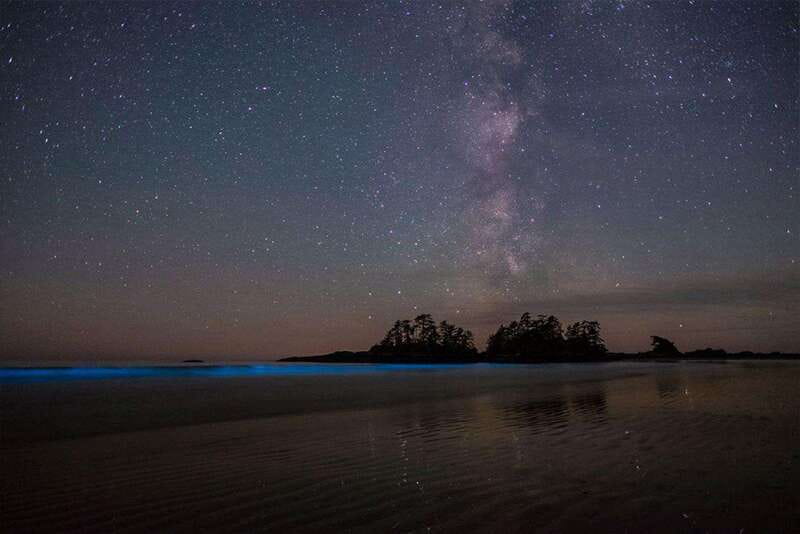 Holbox: Guided Bioluminescence Kayaking Tour - Why Holbox bioluminescence kayaking feels different from shore watching