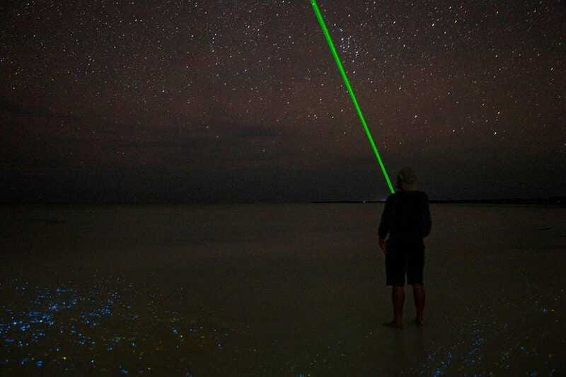 Holbox: Guided Bioluminescence Kayaking Tour - Should you book the guided bioluminescence kayaking tour on Holbox?