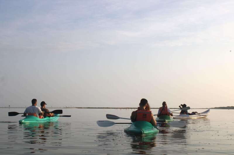 Holbox: Guided Sunrise/Sunset Kayak Tour by Mangrove Reserve - Sunrise in Holbox Mangroves, Not a Theme Park