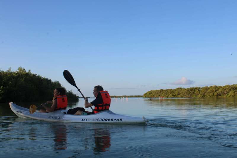 Holbox: Guided Sunrise/Sunset Kayak Tour by Mangrove Reserve - The Morning Plan, From Golf Cart to Kayak in the Mangroves