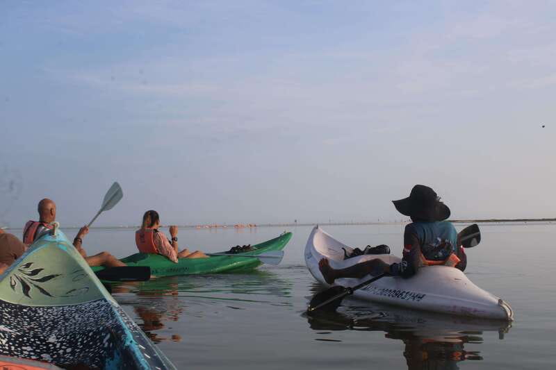 Holbox: Guided Sunrise/Sunset Kayak Tour by Mangrove Reserve - Paddling Through Mangroves, Gentle on Wildlife but Still Real Work