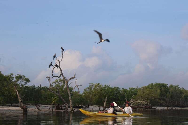 Holbox: Guided Sunrise/Sunset Kayak Tour by Mangrove Reserve - Gear and Comfort: What’s Included and What You Must Bring