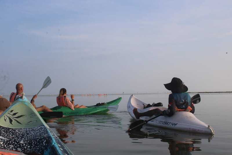 Holbox: Guided Sunrise/Sunset Kayak Tour by Mangrove Reserve - Price and Value: Is $49 Worth It?